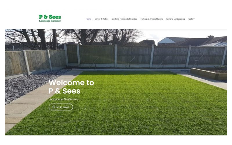 P-and-Sees homepage